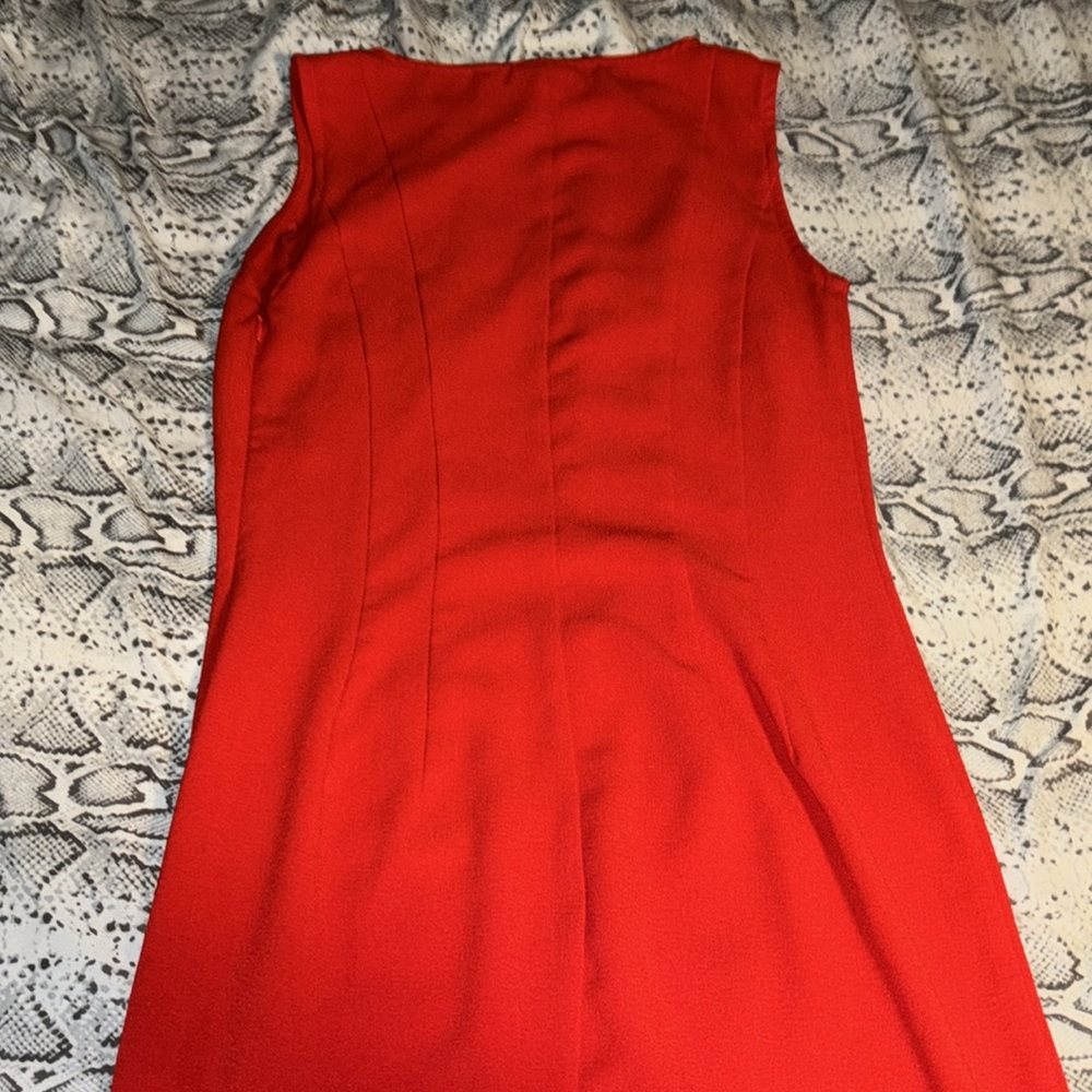 Red Dress - Picture 3 of 3